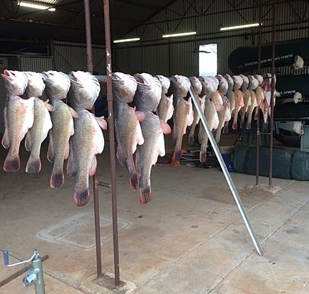 Cod kill controversy stirs C&R debate